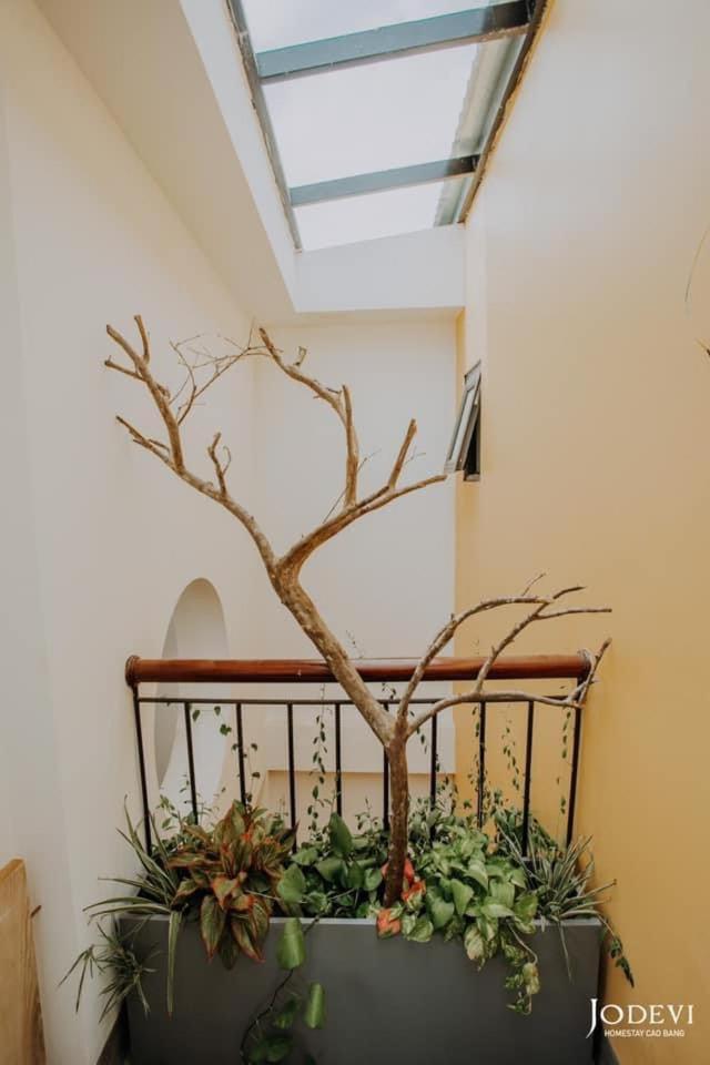 Pamela Homestay Као Банг Екстериор снимка